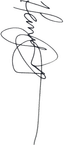 Henry AZ Signature